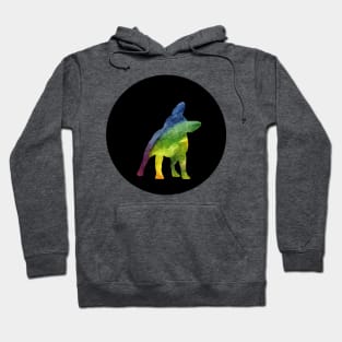 French Bulldog - Cool Rainbow Silhouette Hoodie